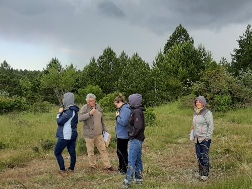 ANALYSE TOPOESTHESIQUE DES SITES 