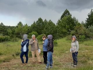 ANALYSE TOPOESTHESIQUE DES SITES