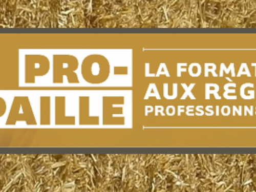 Règles professionnelles de la construction en paille (Pro-paille)