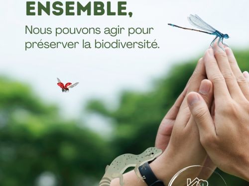 Construire avec le vivant : intégrer la biodiversité à son habitat