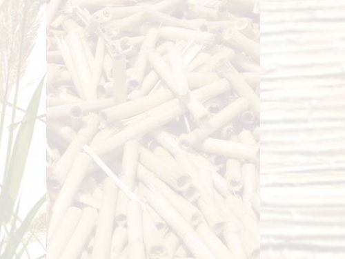 Rencontre des acteurs varois de la Canne de Provence