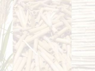 Rencontre des acteurs varois de la Canne de Provence