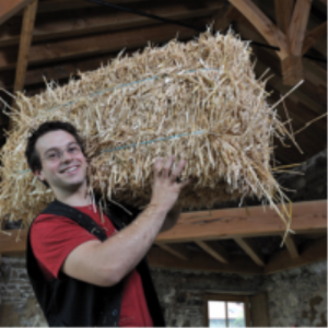 Bois et Paille