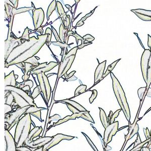 Aïda écoconstruction