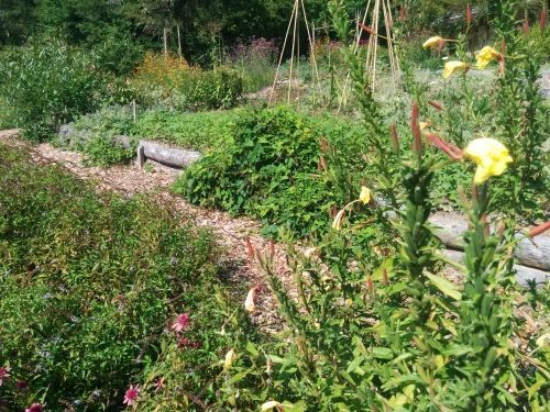 Jardin naturel en permaculture