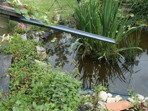 Mur et petite mare dans un jardin de courée