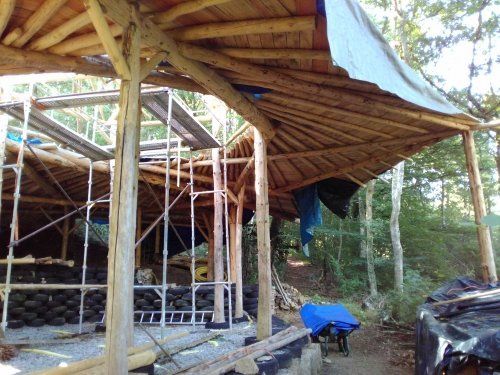 Construction organique en bois rond