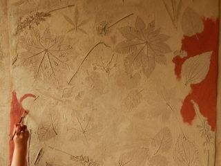 Impressions végétales