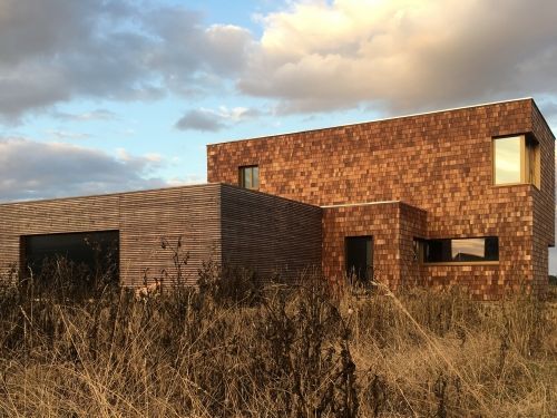 Eward aux mains de bois