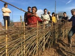 Jardin-forêt, une architecture de cueillette pour reconstruire le regard