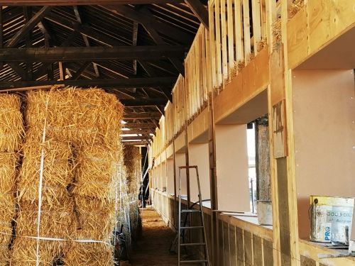 Conseil technique sur ERP Paille Thouars 79