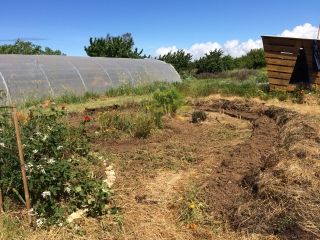 Construction d'un potager multi-strate