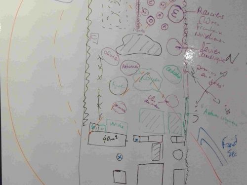 Conception et mise en oeuvre d'un jardin oasis