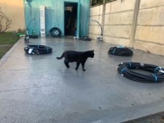 Gironde - Pose des pieuvres électriques - Maison neuve