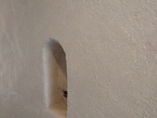 Enduits de correction thermique chaux-chanvre