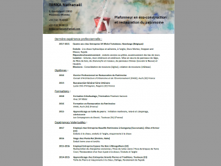 Mon expérience professionnelle 