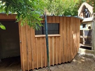 Construction Abri de Jardin Douglas