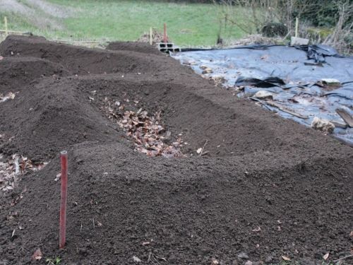 ANDIN POUR PRATIQUE CULTURALE EN PERMACULTURE BIO