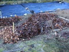 ANDIN POUR PRATIQUE CULTURALE EN PERMACULTURE BIO