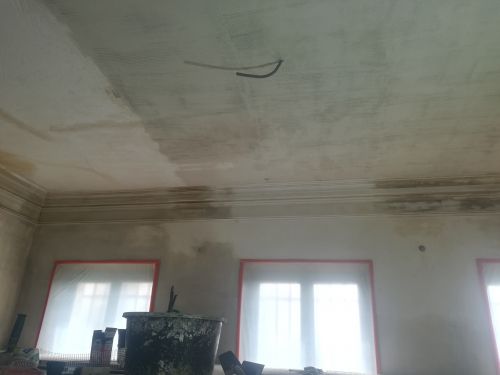 Château : Restauration des moulures