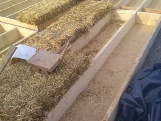 Pose de bottes de paille