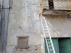 Rénovation traditionnelle d'une façade enduite à la chaux