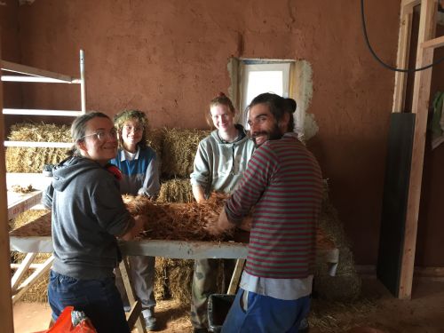 Animation d'un chantier participatif: cloisons terre-paille