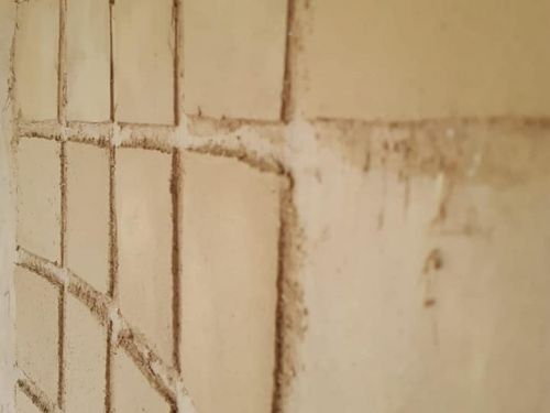 Enduits terre dans une paillourte