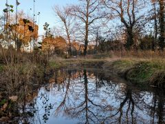 Jardin des Communs