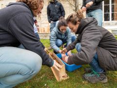 Atelier découverte terre crue - Assemblée générale Eskaapi