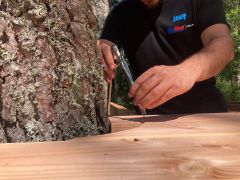 Terrasse en bois dans la clairière