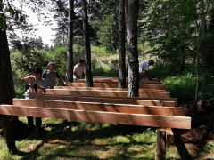 Terrasse en bois dans la forêt 