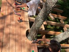 Terrasse en bois dans la forêt 