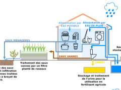 Étude de faisabilité / conception valorisation eau de pluie et assainissement écologique d'un éco-hameau