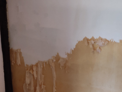 Peinture murale a la caséine