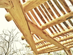 Pergola-Guingette en châtaignier
