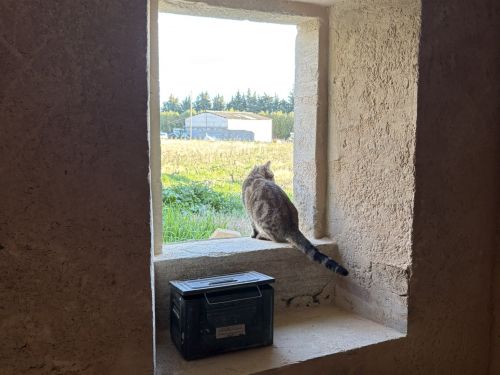 Taille de pierre en position: reprise ébrasement ouverture