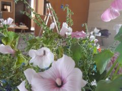 Enduit de terre Sur Fermacell