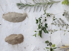Atelier enduit décoratif