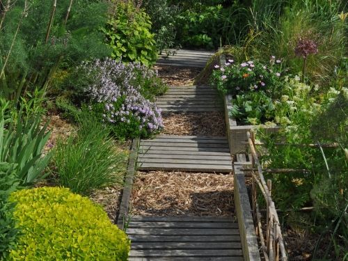 Aromatiques (photos)