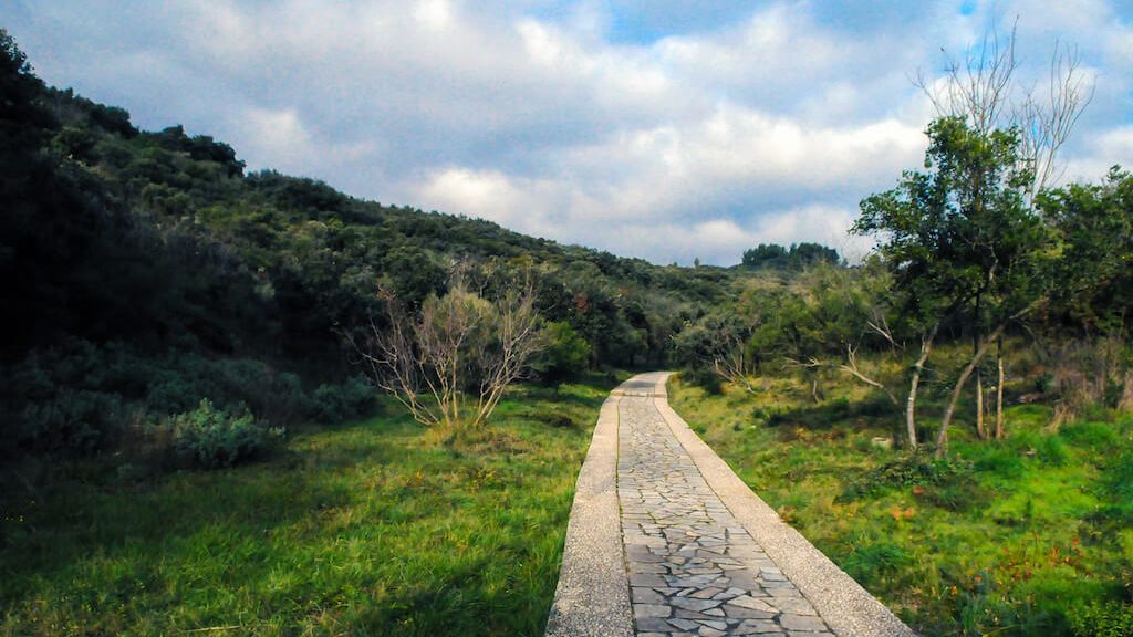 Photo d'un chemin de calade menant à l'abbaye troglodytique de Saint Roman dans le Gard en France.