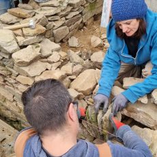 Construire et restaurer des murets en pierres sèches