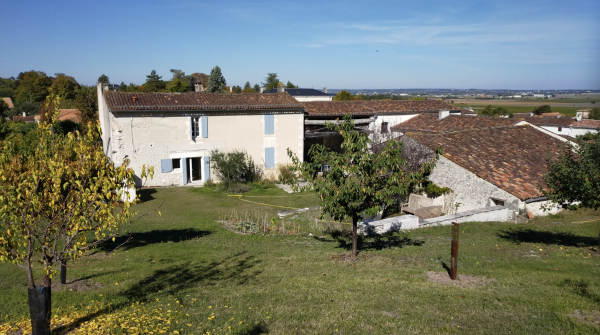 Rénovation Écologique Globale