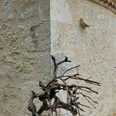 Formation Pierre vue Nico v0